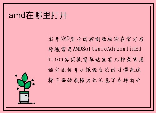 amd在哪里打开